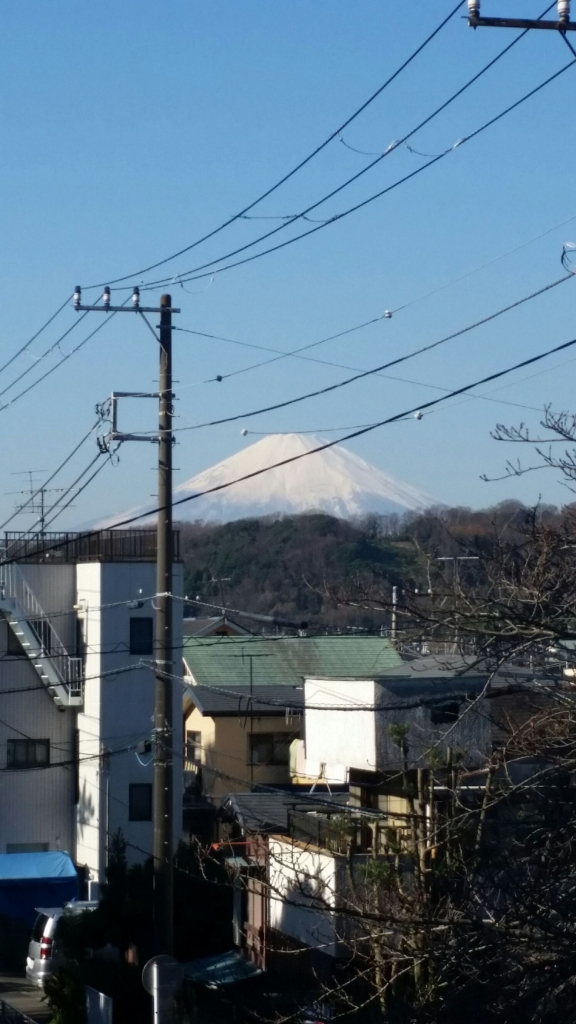 2月お休み