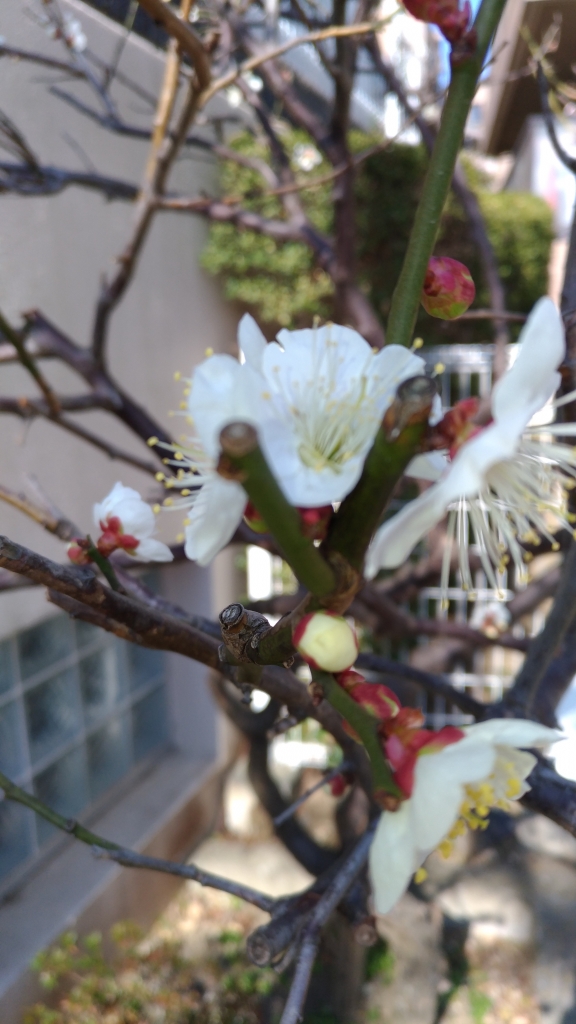 3月休み