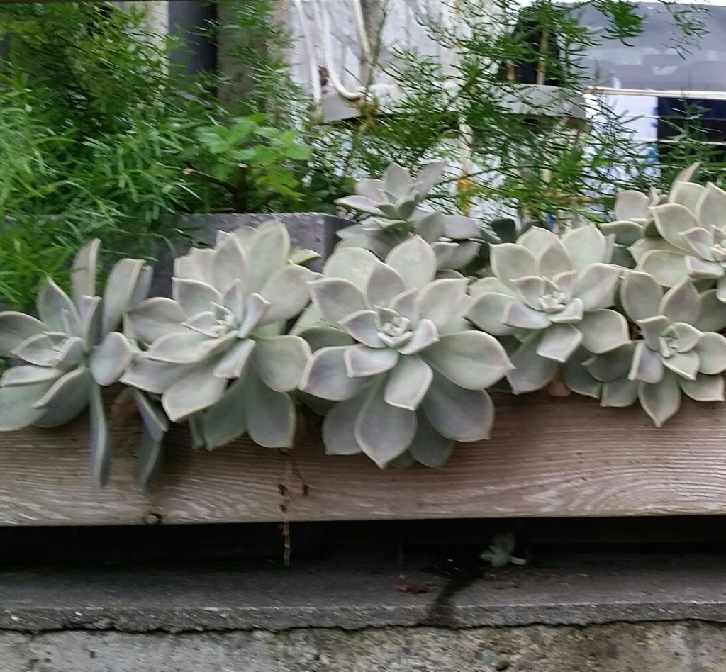 8月
