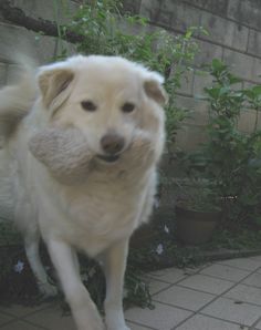 お帰り