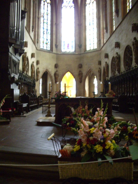 Colmar6