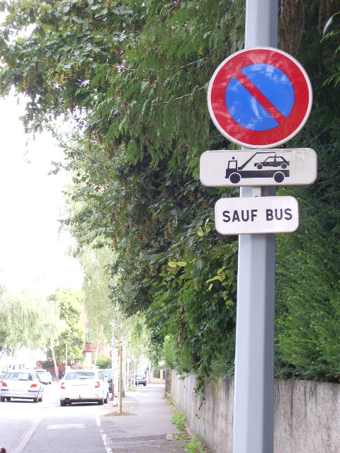 Sauf Bus
