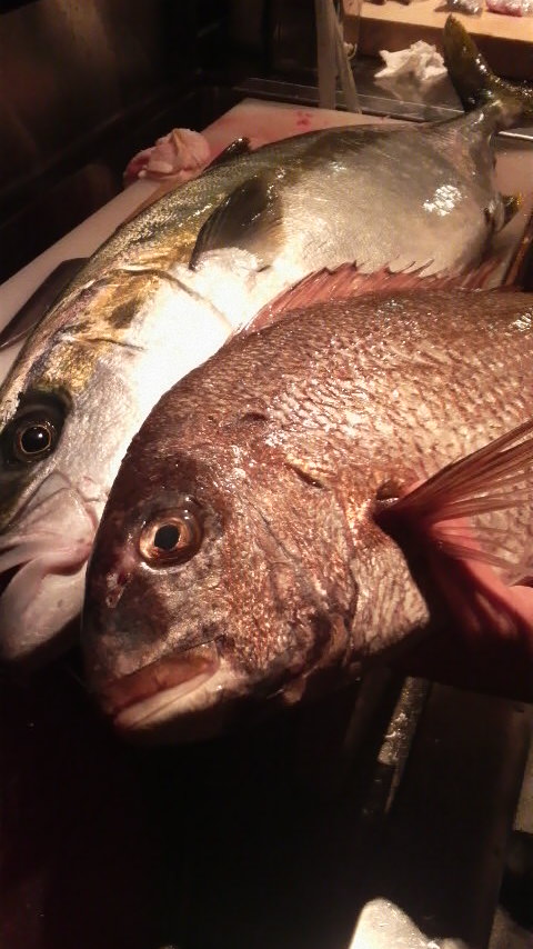 2011042221380000.jpg