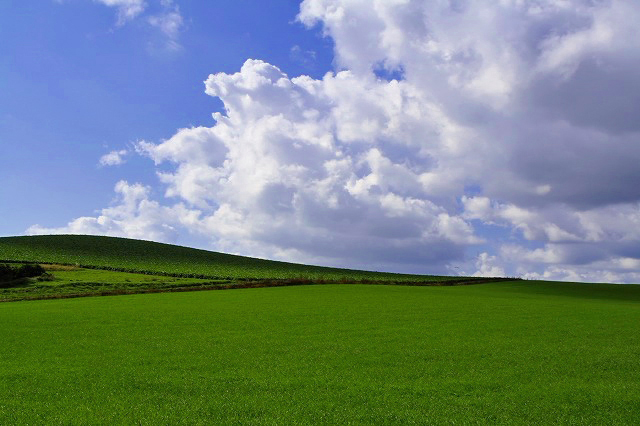 04 風景徒然写真館 北海道 Windowsxp 壁紙 の丘 旅犬の そうだランディで行こう