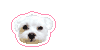 ガビーン丸チズ.gif