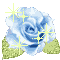 ブルーローズ.gif