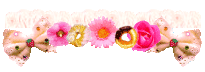 姫系上.gif