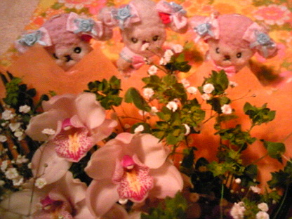 Image858.jpg