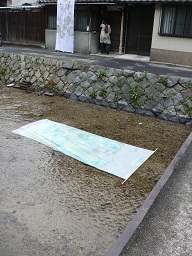 川を流れる蓮