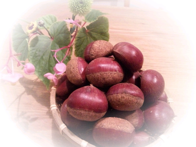 栗と菊Image.jpg