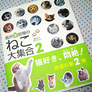 わんこ猫ゆきむらぶろぐ / 書籍に紹介されました