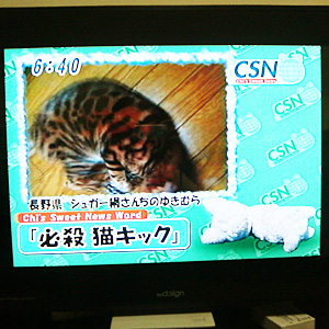 わんこ猫ゆきむら / チーズスイートニュース