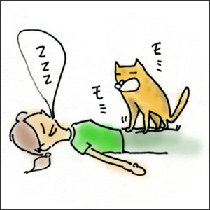わんこ猫ゆきむらぶろぐ / マンガでゆきむ