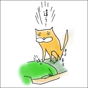 わんこ猫ゆきむらぶろぐ / マンガでゆきむ