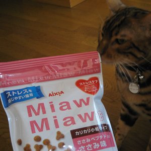 当選初めてです! ベンガル猫ゆきむら / 猫のダイエット