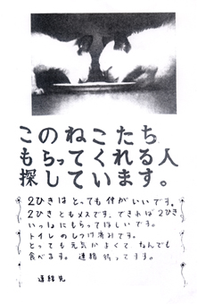 きくまれ