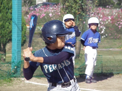 PA230159.JPG