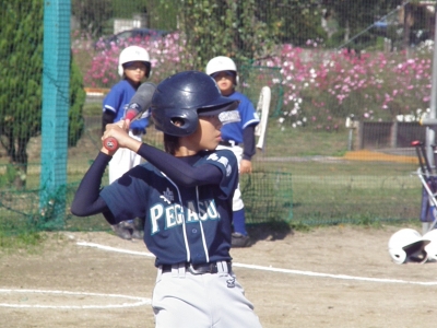 PA230225.JPG