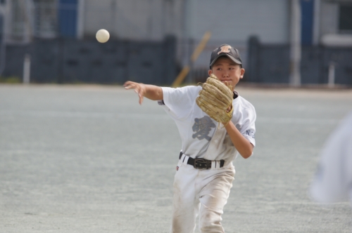 DSC08554.JPG