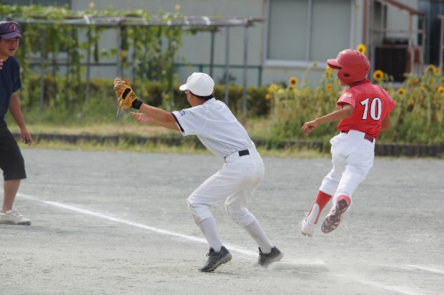 DSC08972.JPG