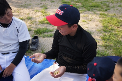 DSC06712.JPG