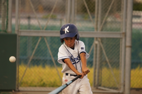 DSC04429.JPG
