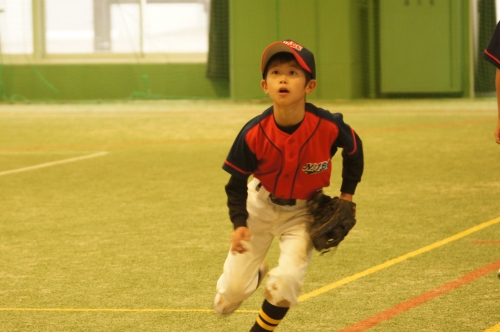 DSC08183.JPG