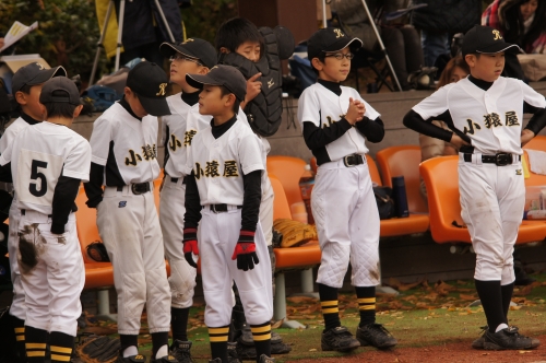 DSC02538.JPG