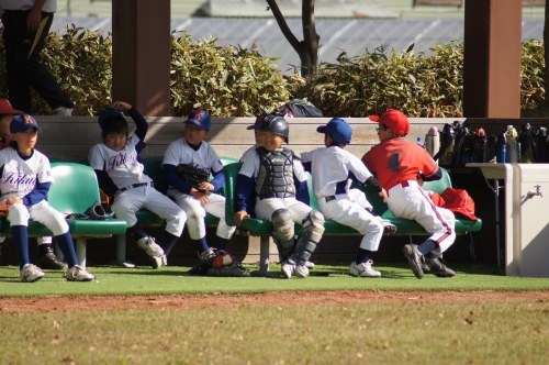 DSC08017.JPG