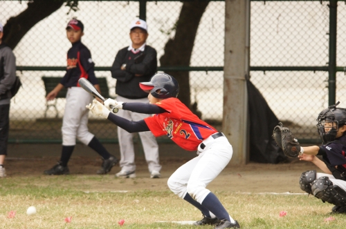 DSC04908.JPG