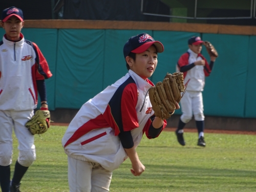 DSC08147.JPG