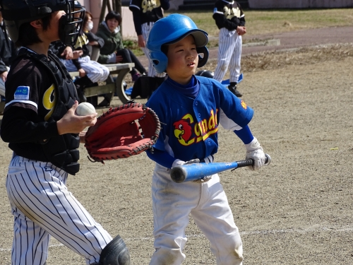 DSC01231.JPG