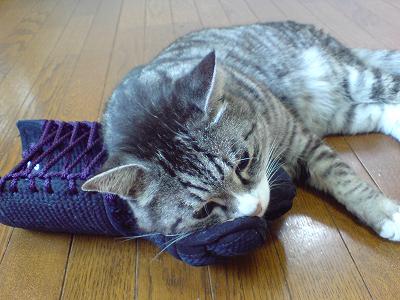 剣道の籠手にうっとりするえむ
