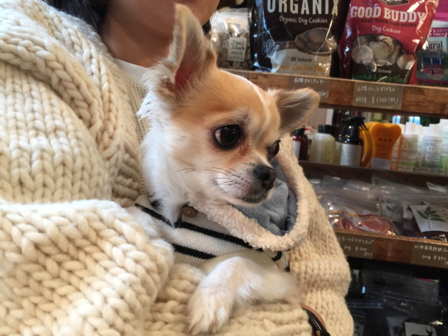 20171022-11.jpg