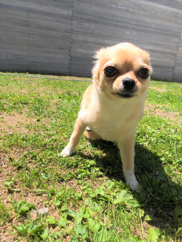 20190525-17.jpg