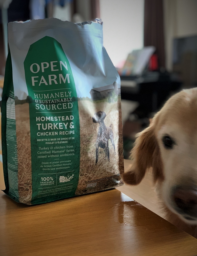人気ですね！OPEN FARM♪ | DENI'S STORE犬がいる生活
