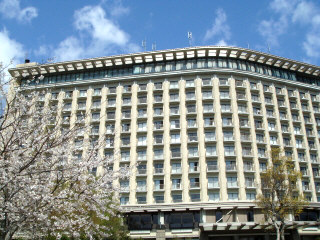 桜とヒルトン小田原