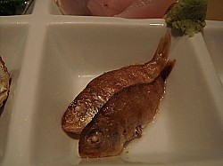 じゃみ鯛