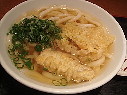 ごぼう天うどん
