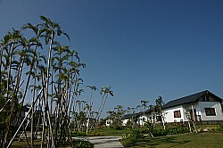 コテージは点在しています