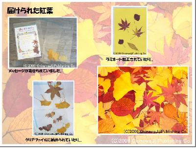 届けられた紅葉たち