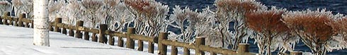 嵐の贈り物2