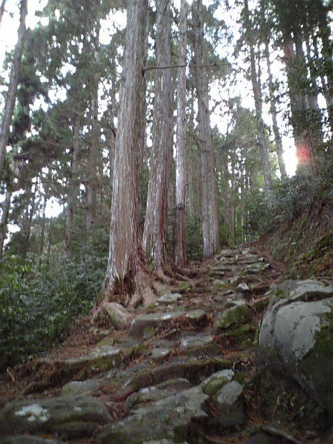 101223_103258.jpg