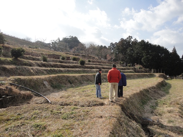 高原2