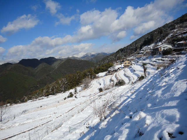 高原2011