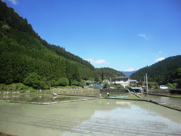 たうえ