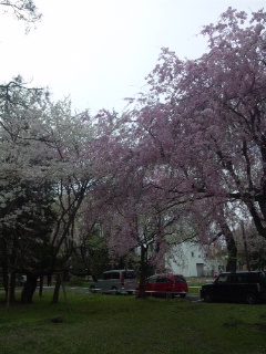 110426_143009.jpg