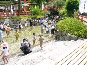 小川の終わり