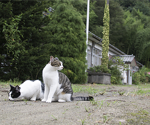 工房風景です