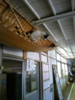 DVC00131.jpg